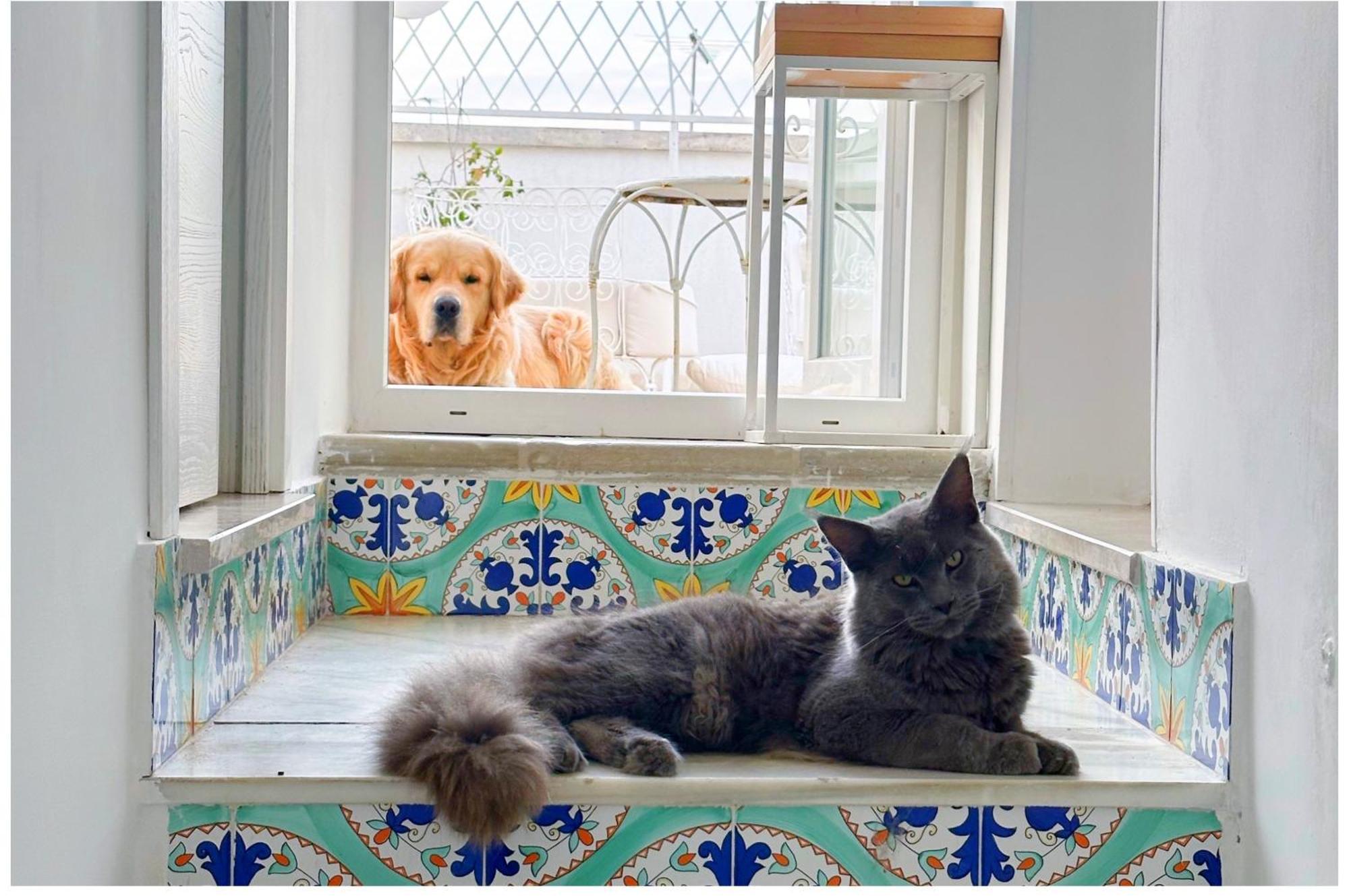 Le Bateau Bleu (adults Only) Bed & Breakfast
